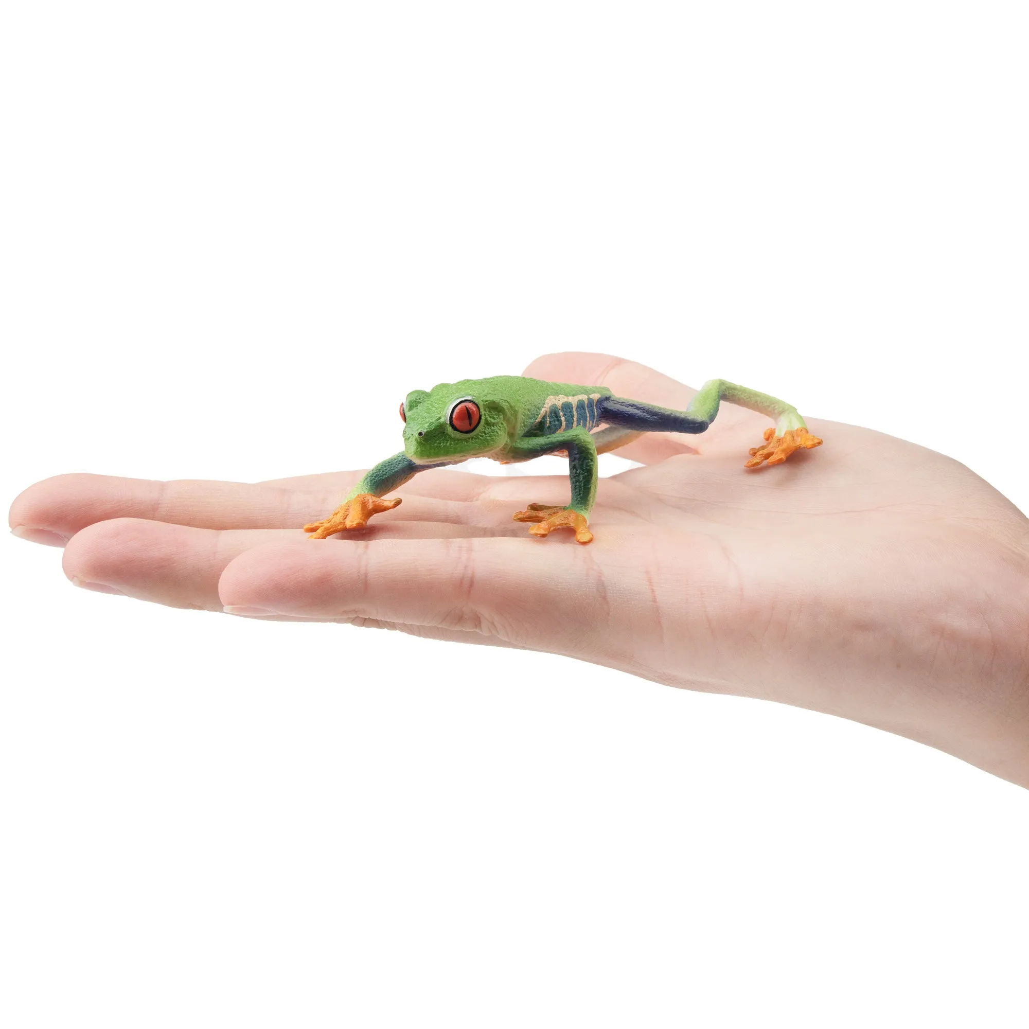 Toymany Red-eyed Tree Frog Figurine Toy